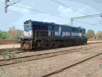 P1010040
