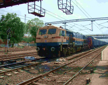 P1010037-crop
