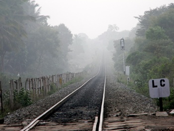 3.Roller coaster ride
