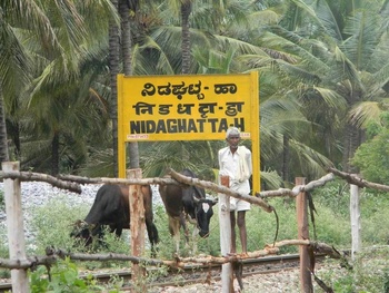 4.Nidaghatta.H hand in glove with the farmers