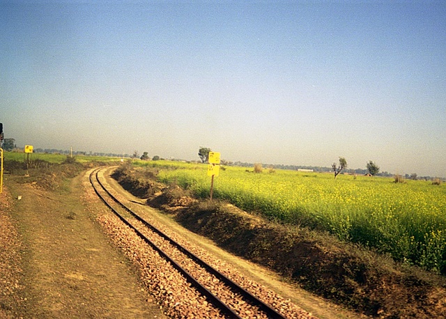 3461_Dholpur_15.jpg