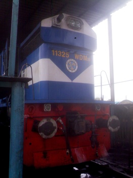 11325 (1)