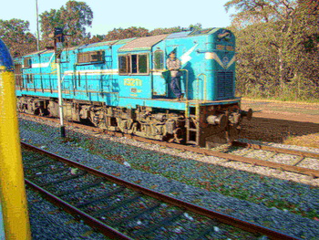 DSC01231