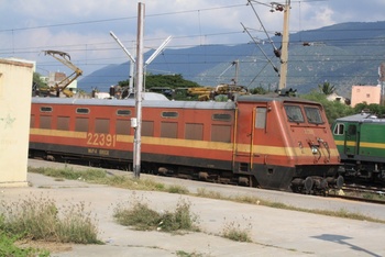 22391