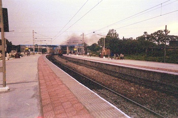 00029_G.jpg