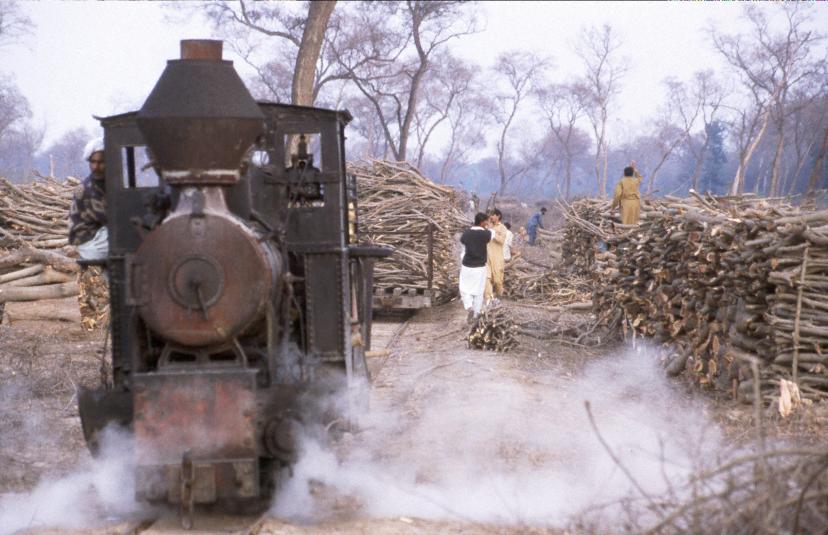 Loading wagons at  Changa Manga