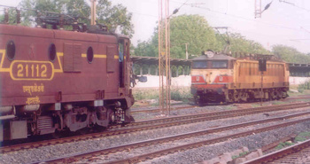 wag5vswcam2p.jpg