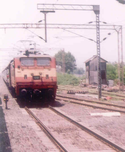 wap4.jpg