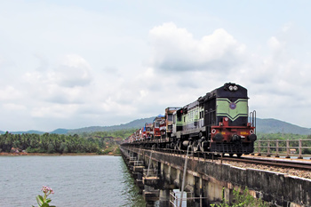 Revisiting the Railway Wetland