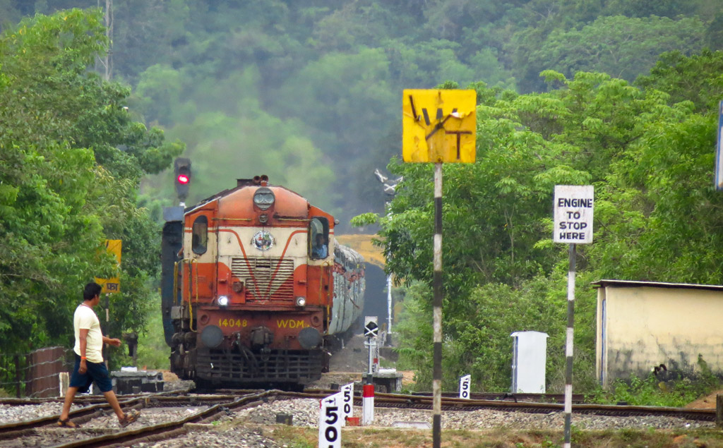 IMG_1405LR-2