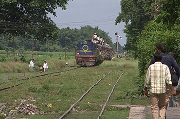 IMG_5137.CR2