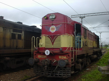 Sany0231.jpg