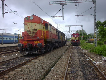 Sany0232.jpg