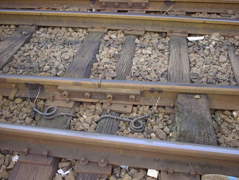 Sany0252.jpg