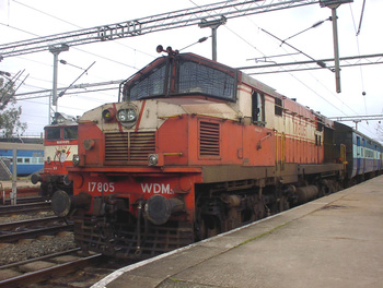 Sany0243.jpg