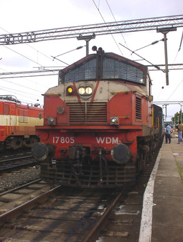 Sany0240.jpg