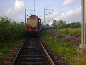 Sany0377.jpg