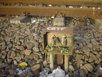 Sany0386.jpg