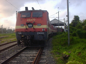 Sany0390.jpg