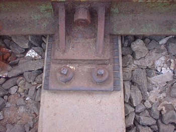 Sany0399.jpg