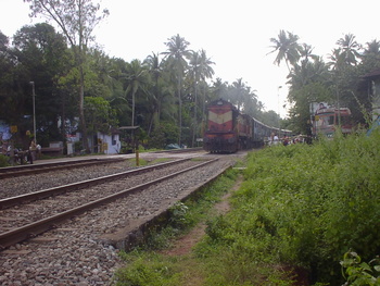 Sany0688.jpg