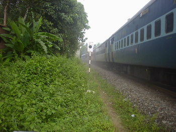 Sany0689.jpg