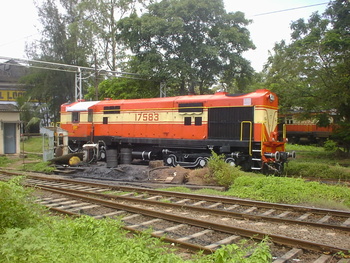 Sany0691.jpg