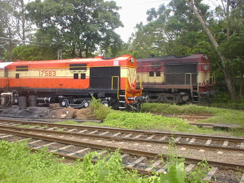 Sany0690.jpg