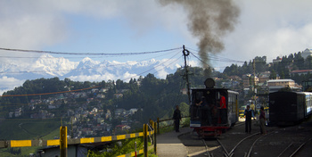 Morning Shunting Darjeeling