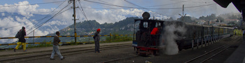 Darjeeling Shunt