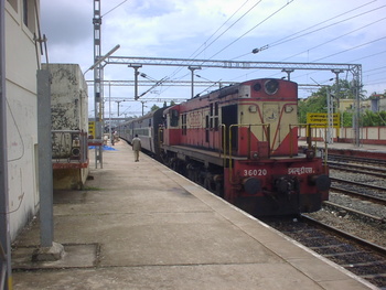 Sany0692.jpg