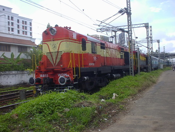 Sany0693.jpg
