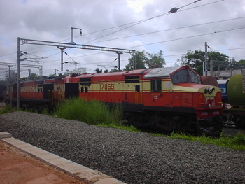 Sany0695.jpg