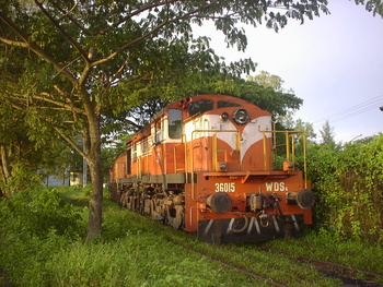 Sany0702.jpg