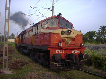 SANY0085.jpg