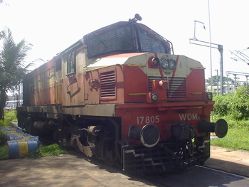 SANY0100.jpg