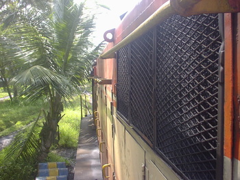 SANY0097.jpg