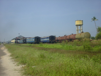 SANY0136.jpg