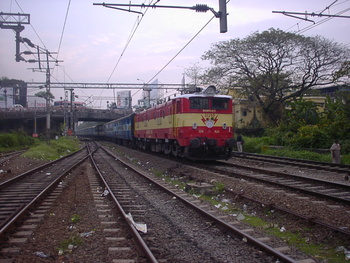 SANY0208.jpg