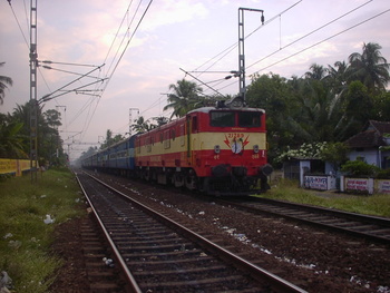 SANY0209.jpg