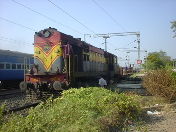 SANY0215.jpg