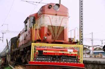 91950028_G.jpg