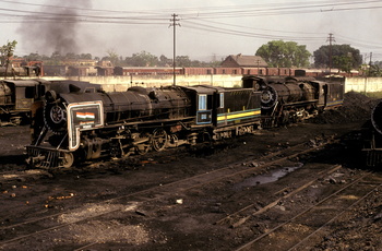 YG 4239 at Darbhanga