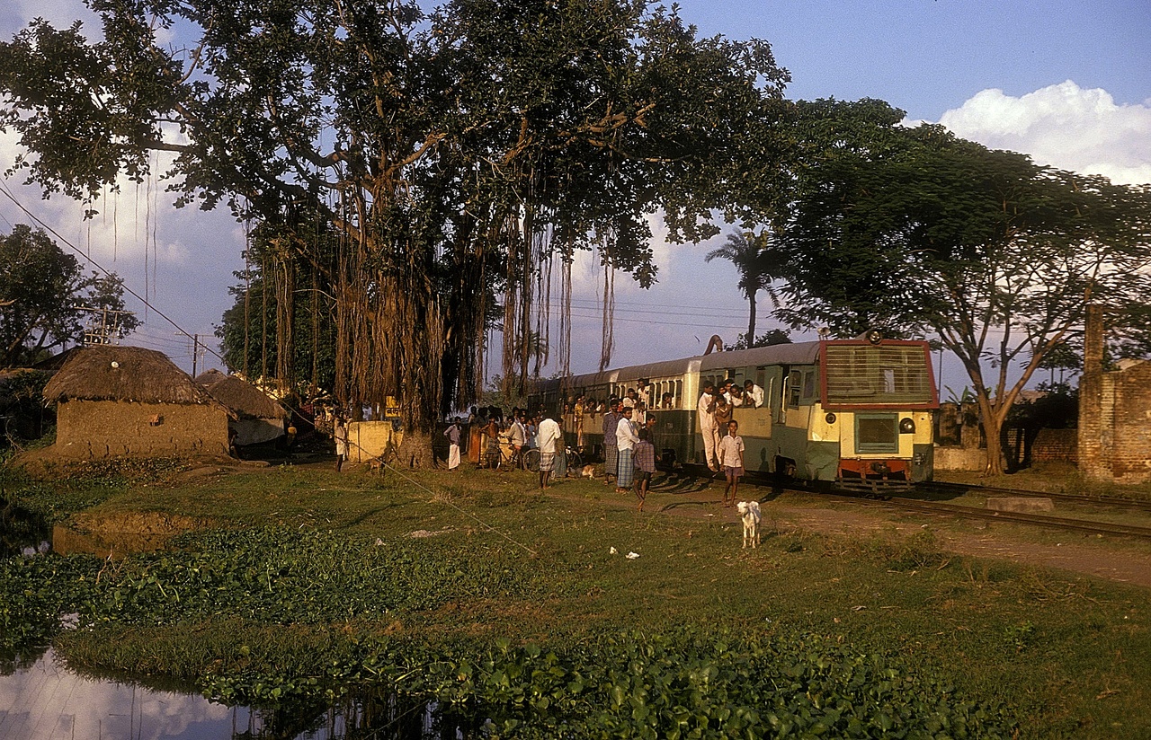 Railbus 7036   at Balgona