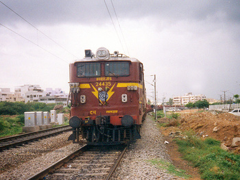 24435_lgd.jpg