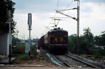 23994_G.jpg