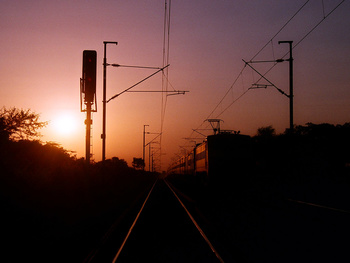 22313_G_001.jpg