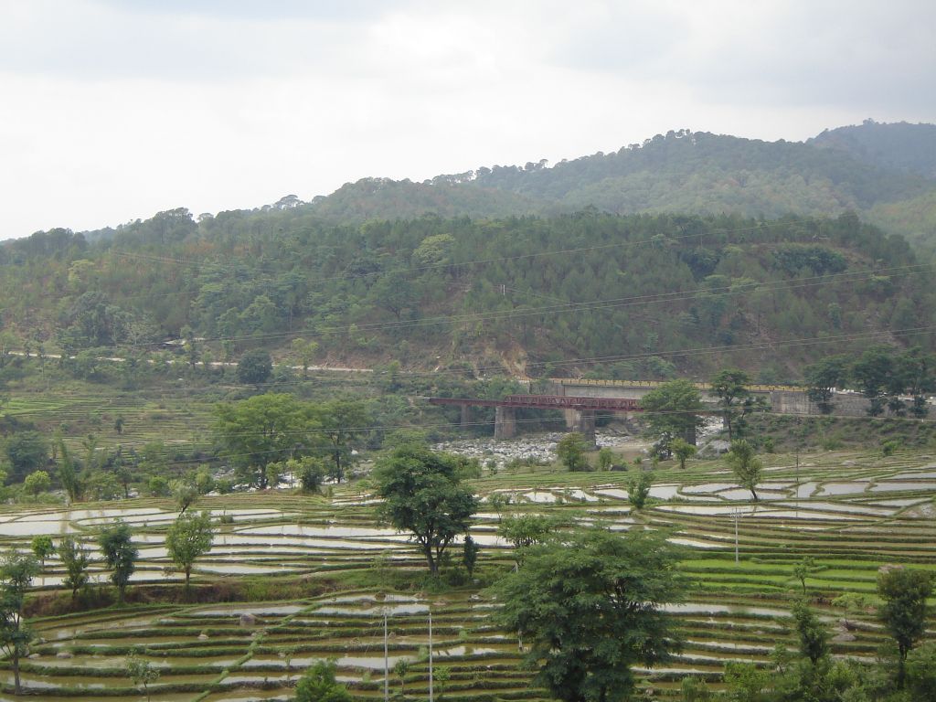 Terraced_Fields_and_Railway.jpg