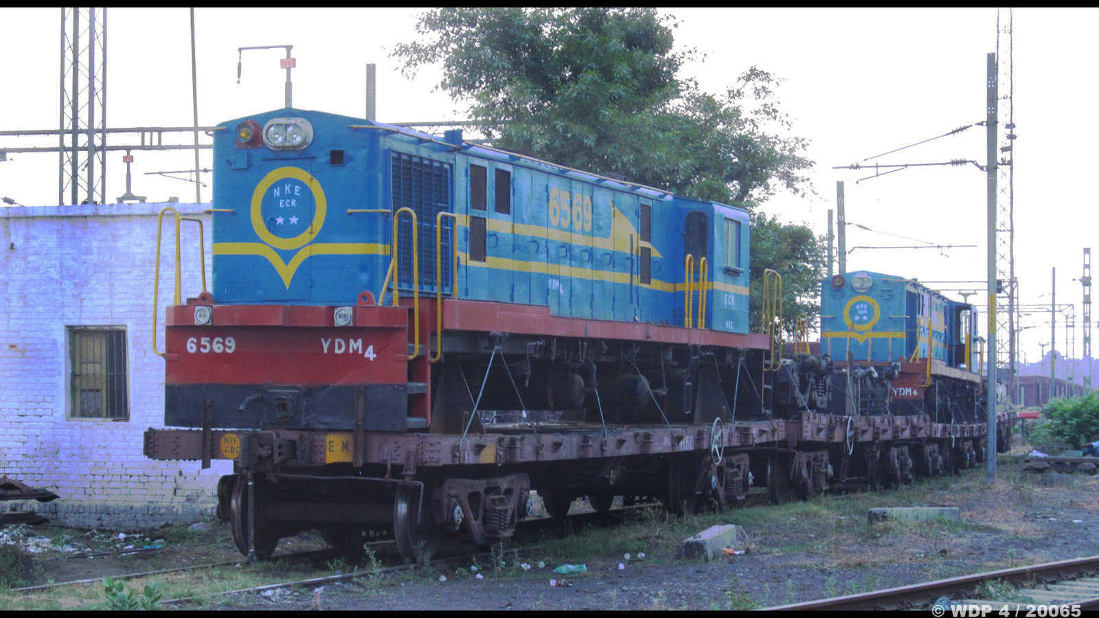 YDM 4 - NKE - 6569