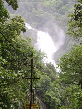 Dudhsagar Visit